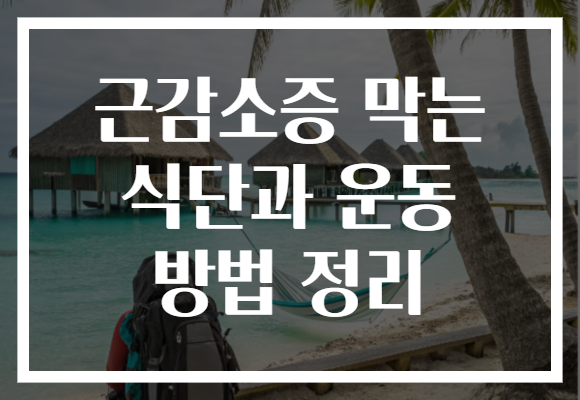 근감소증 막는 식단과 운동 방법 정리 근감소증 막는 식단과 운동 방법 정리