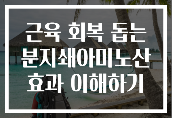 근육 회복 돕는 분지쇄아미노산 효과 이해하기