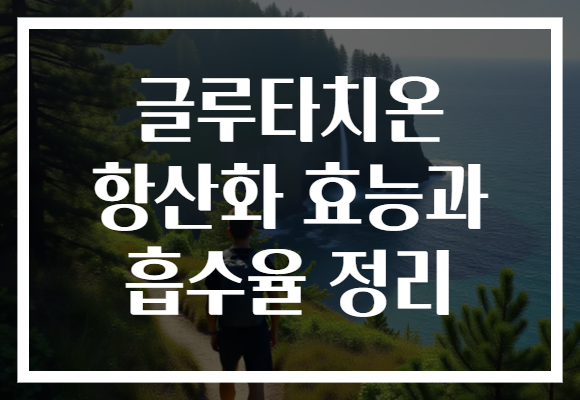 글루타치온 항산화 효능과 흡수율 정리