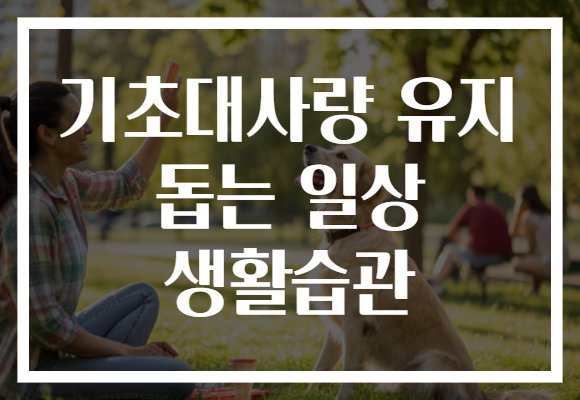 기초대사량 유지 돕는 일상 생활습관 기초대사량 유지 돕는 일상 생활습관