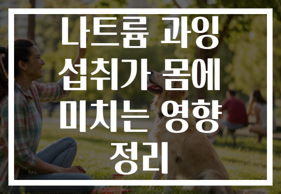 나트륨 과잉 섭취가 몸에 미치는 영향 정리