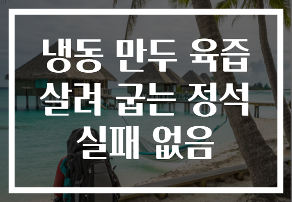 냉동 만두 육즙 살려 굽는 정석 실패 없음