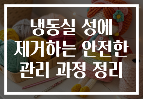 냉동실 성에 제거하는 안전한 관리 과정 정리 냉동실 성에 제거하는 안전한 관리 과정 정리