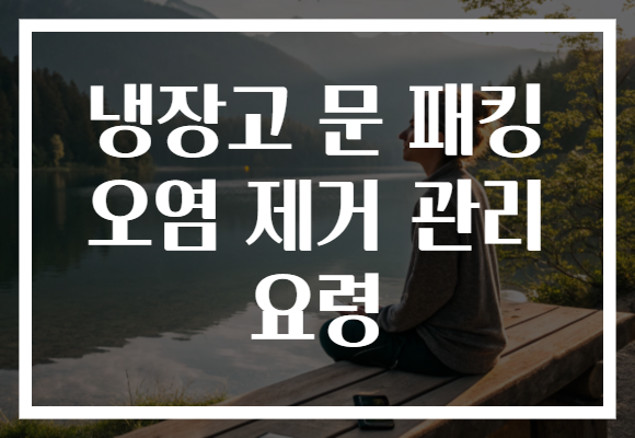 냉장고 문 패킹 오염 제거 관리 요령