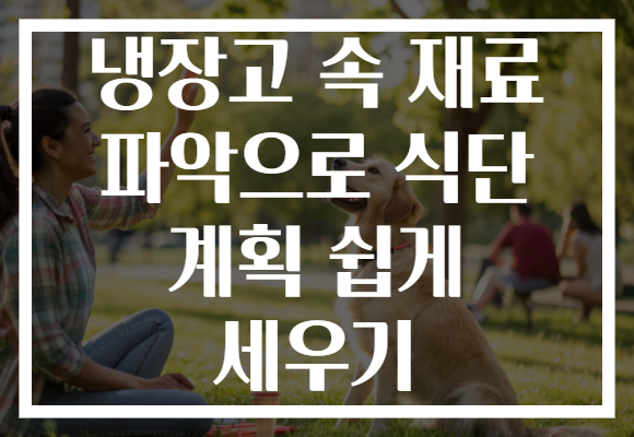 냉장고 속 재료 파악으로 식단 계획 쉽게 세우기