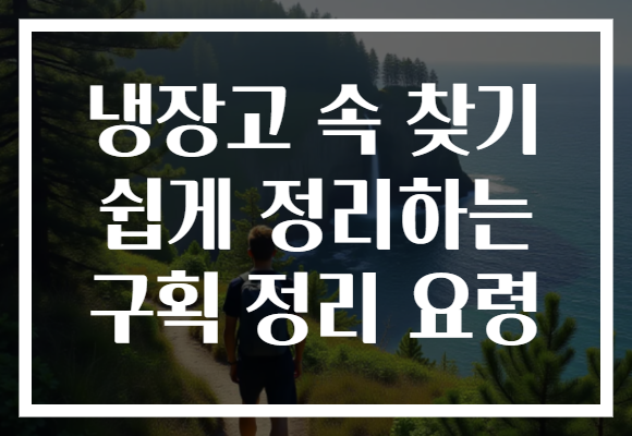 냉장고 속 찾기 쉽게 정리하는 구획 정리 요령