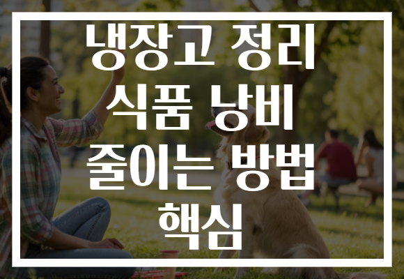 냉장고 정리 식품 낭비 줄이는 방법 핵심 냉장고 정리 식품 낭비 줄이는 방법 핵심