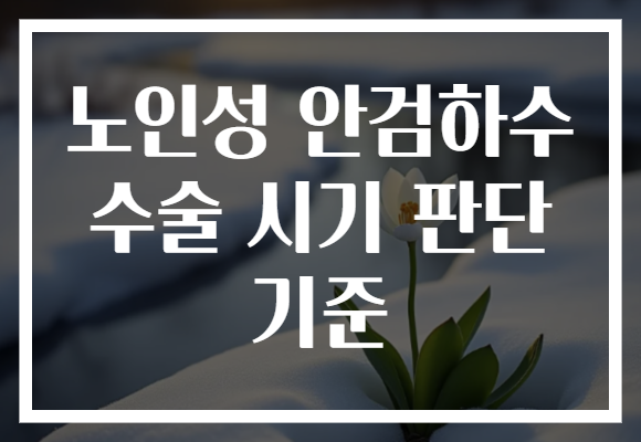노인성 안검하수 수술 시기 판단 기준
