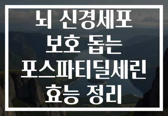 뇌 신경세포 보호 돕는 포스파티딜세린 효능 정리