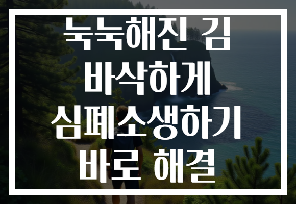 눅눅해진 김 바삭하게 심폐소생하기 바로 해결 눅눅해진 김 바삭하게 심폐소생하기 바로 해결