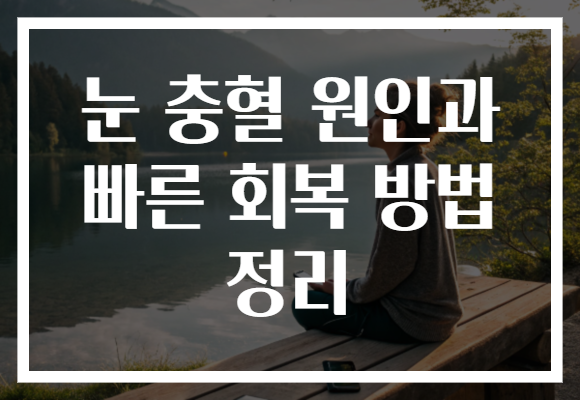 눈 충혈 원인과 빠른 회복 방법 정리 눈 충혈 원인과 빠른 회복 방법 정리