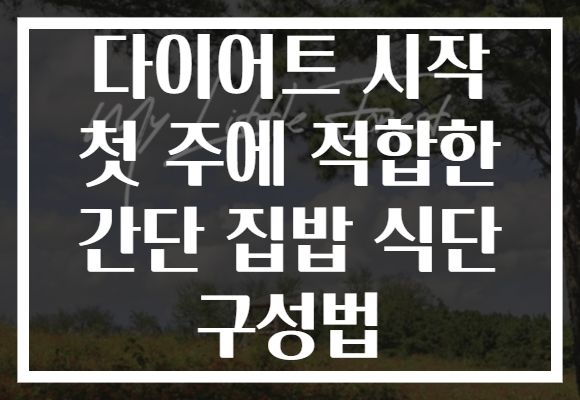 다이어트 시작 첫 주에 적합한 간단 집밥 식단 구성법