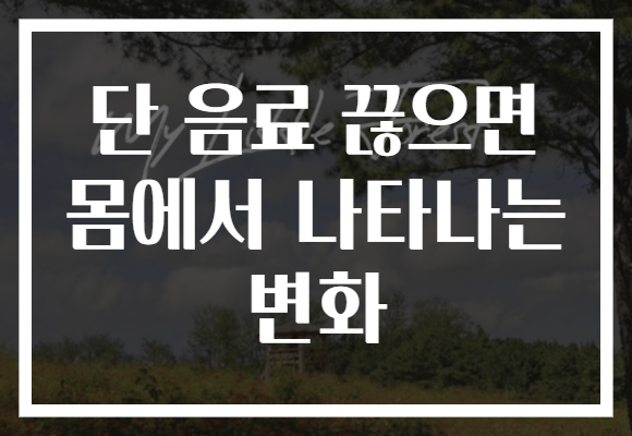 단 음료 끊으면 몸에서 나타나는 변화 단 음료 끊으면 몸에서 나타나는 변화