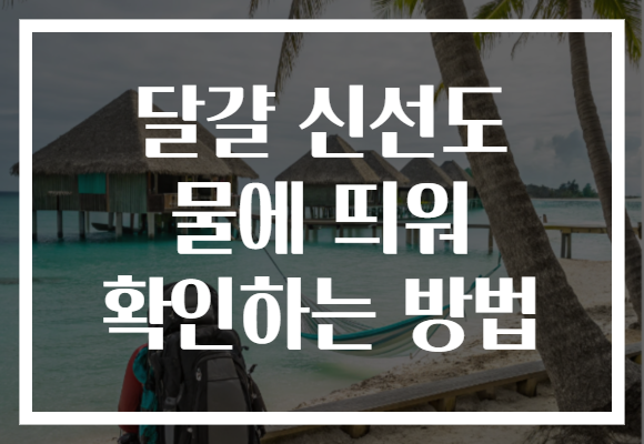 달걀 신선도 물에 띄워 확인하는 방법