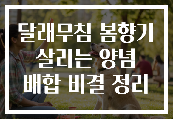 달래무침 봄향기 살리는 양념 배합 비결 정리 달래무침 봄향기 살리는 양념 배합 비결 정리