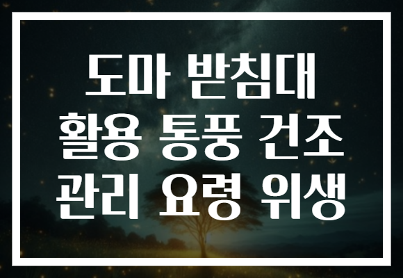 도마 받침대 활용 통풍 건조 관리 요령 위생 도마 받침대 활용 통풍 건조 관리 요령 위생