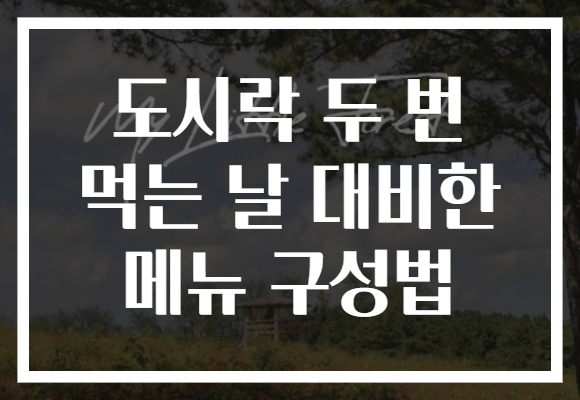 도시락 두 번 먹는 날 대비한 메뉴 구성법