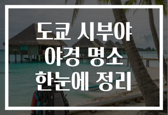 도쿄 시부야 야경 명소 한눈에 정리