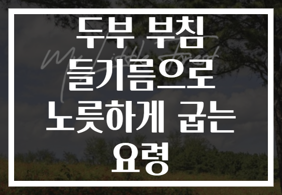 두부 부침 들기름으로 노릇하게 굽는 요령