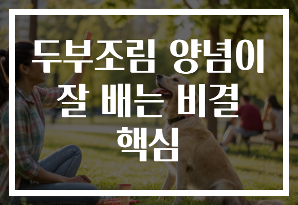 두부조림 양념이 잘 배는 비결 핵심