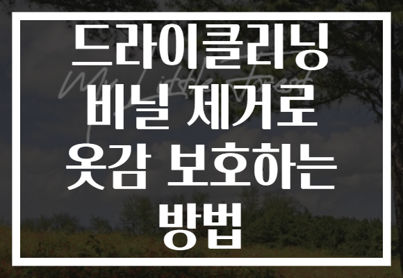 드라이클리닝 비닐 제거로 옷감 보호하는 방법