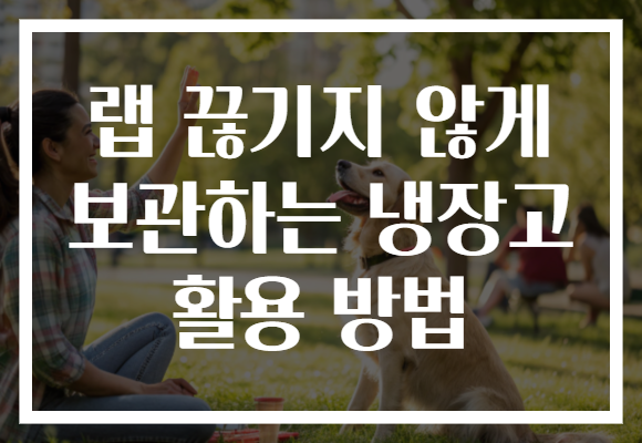 랩 끊기지 않게 보관하는 냉장고 활용 방법