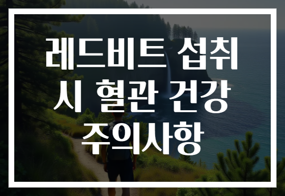 레드비트 섭취 시 혈관 건강 주의사항 레드비트 섭취 시 혈관 건강 주의사항