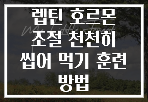 렙틴 호르몬 조절 천천히 씹어 먹기 훈련 방법