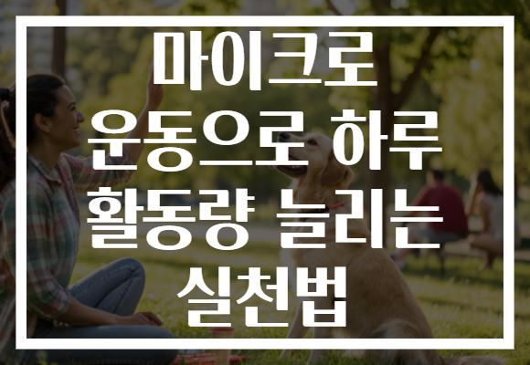 마이크로 운동으로 하루 활동량 늘리는 실천법 마이크로 운동으로 하루 활동량 늘리는 실천법