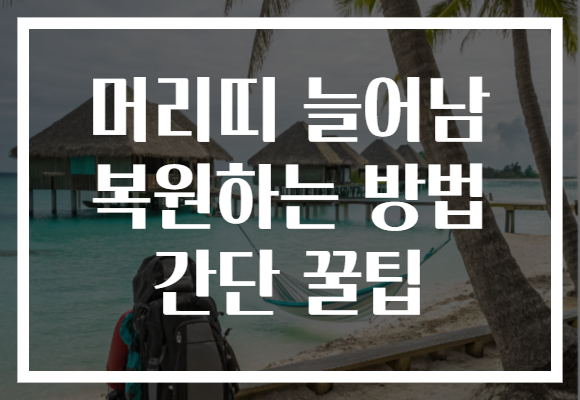 머리띠 늘어남 복원하는 방법 간단 꿀팁 머리띠 늘어남 복원하는 방법 간단 꿀팁