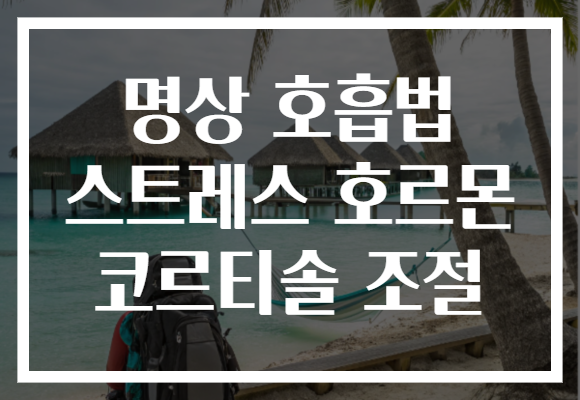 명상 호흡법 스트레스 호르몬 코르티솔 조절