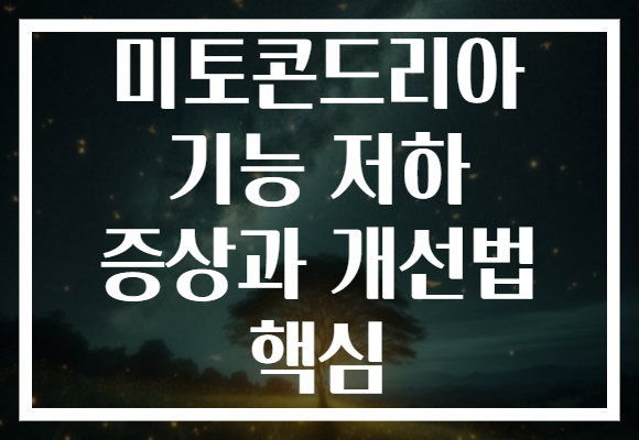 미토콘드리아 기능 저하 증상과 개선법 핵심