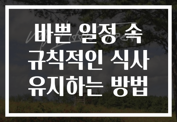 바쁜 일정 속 규칙적인 식사 유지하는 방법 바쁜 일정 속 규칙적인 식사 유지하는 방법