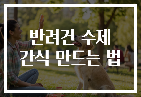 반려견 수제 간식 만드는 법