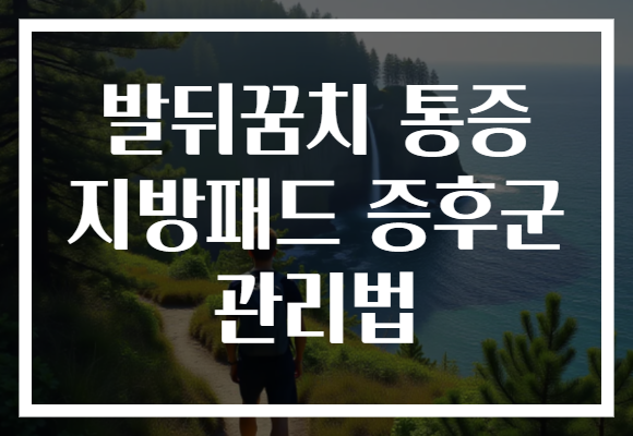 발뒤꿈치 통증 지방패드 증후군 관리법 발뒤꿈치 통증 지방패드 증후군 관리법