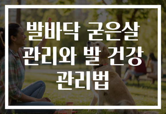 발바닥 굳은살 관리와 발 건강 관리법