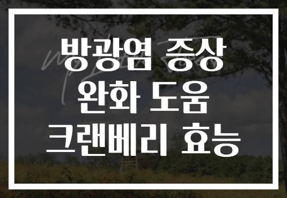 방광염 증상 완화 도움 크랜베리 효능