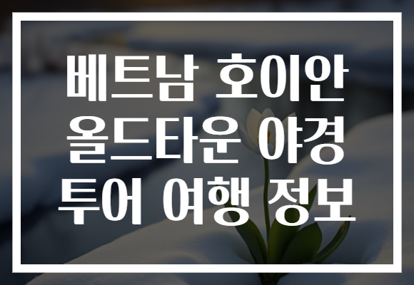 베트남 호이안 올드타운 야경 투어 여행 정보 베트남 호이안 올드타운 야경 투어 여행 정보