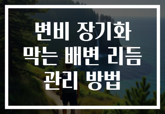 변비 장기화 막는 배변 리듬 관리 방법