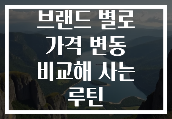 브랜드 별로 가격 변동 비교해 사는 루틴 브랜드 별로 가격 변동 비교해 사는 루틴