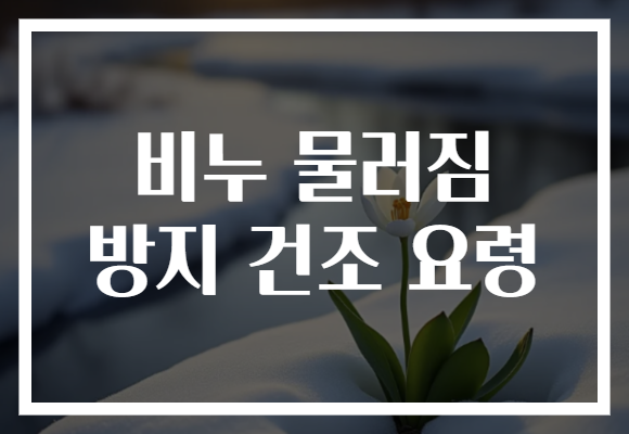 비누 물러짐 방지 건조 요령 비누 물러짐 방지 건조 요령