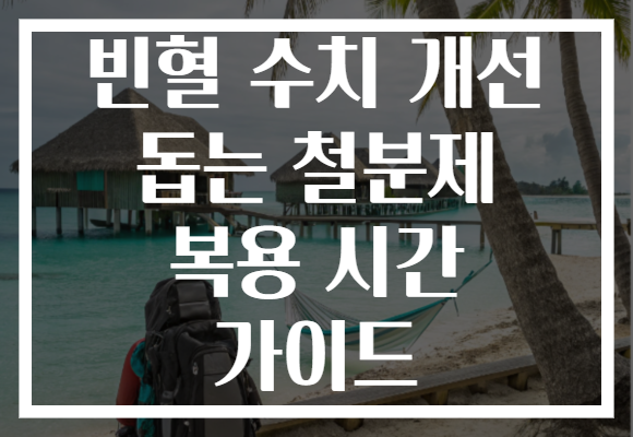 빈혈 수치 개선 돕는 철분제 복용 시간 가이드