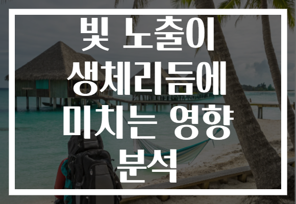 빛 노출이 생체리듬에 미치는 영향 분석