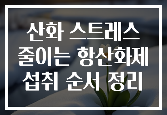 산화 스트레스 줄이는 항산화제 섭취 순서 정리
