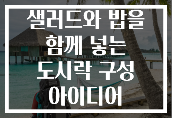 샐러드와 밥을 함께 넣는 도시락 구성 아이디어 샐러드와 밥을 함께 넣는 도시락 구성 아이디어