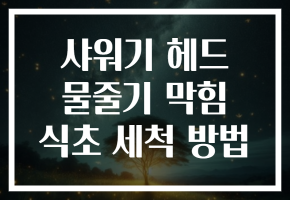 샤워기 헤드 물줄기 막힘 식초 세척 방법