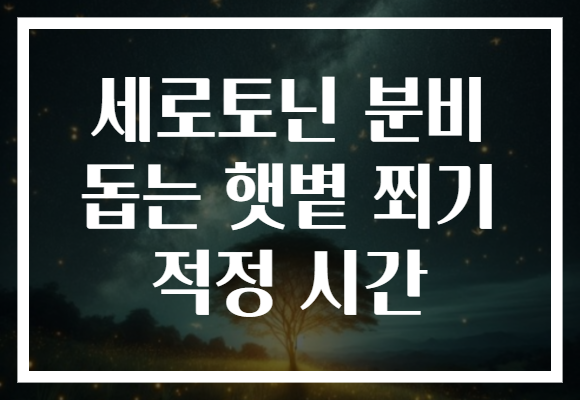 세로토닌 분비 돕는 햇볕 쬐기 적정 시간