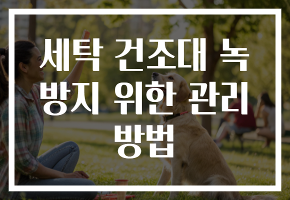 세탁 건조대 녹 방지 위한 관리 방법