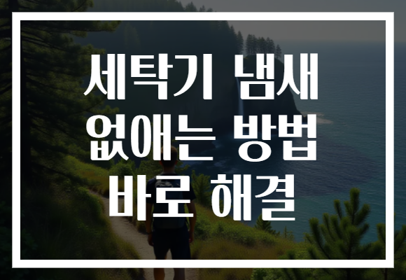 세탁기 냄새 없애는 방법 바로 해결 세탁기 냄새 없애는 방법 바로 해결