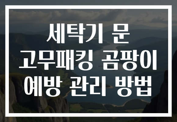 세탁기 문 고무패킹 곰팡이 예방 관리 방법